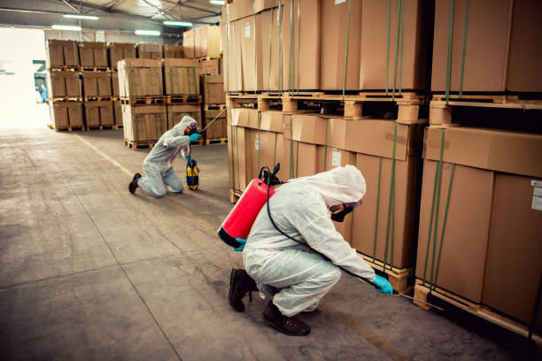 Best Mosquito Control Services  in Clare, MI