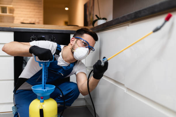 Best Pest Control Near Me  in Clare, MI