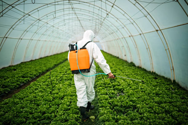 Best Affordable Pest Control Services  in Clare, MI