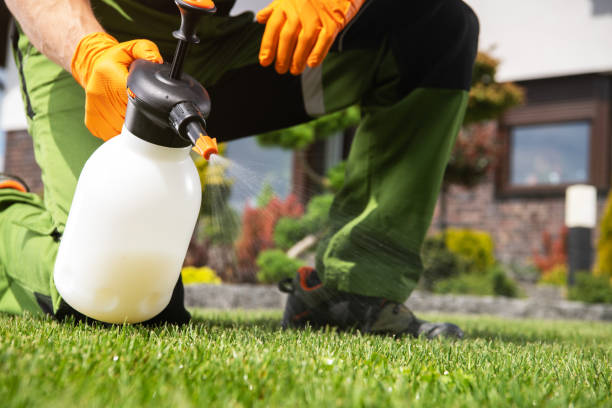 Best Best Pest Control Companies  in Clare, MI