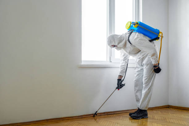 Best Cockroach Control Services  in Clare, MI