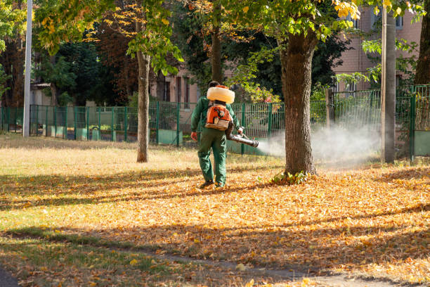 Best Local Pest Control Services  in Clare, MI