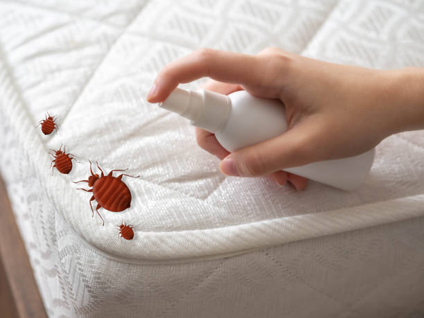 Best Commercial Pest Control Services  in Clare, MI